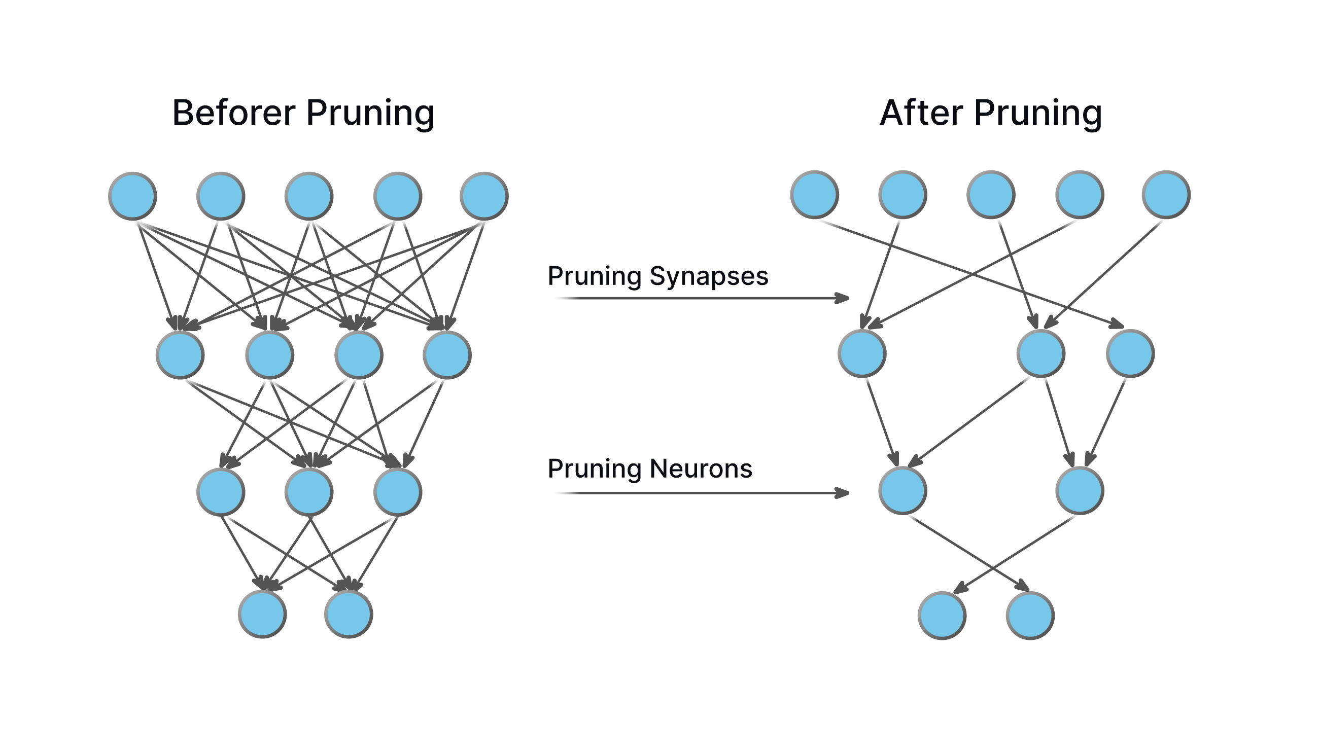 Pruning