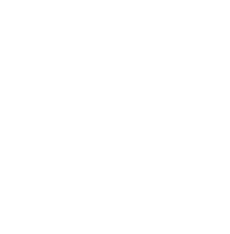 Delivering Intelligent Solutions Since 2009-3