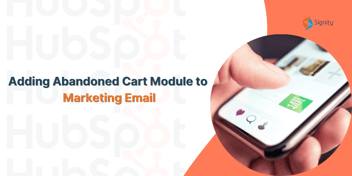 How To Add a Product or Abandoned Cart Module to Your Marketing Email?