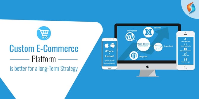  Custom E-commerce Platform is Better for Long-term Strategy. 