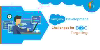 Salesforce Development Challenges for B2C Targeting