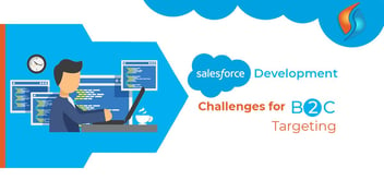 Salesforce Development Challenges for B2C Targeting