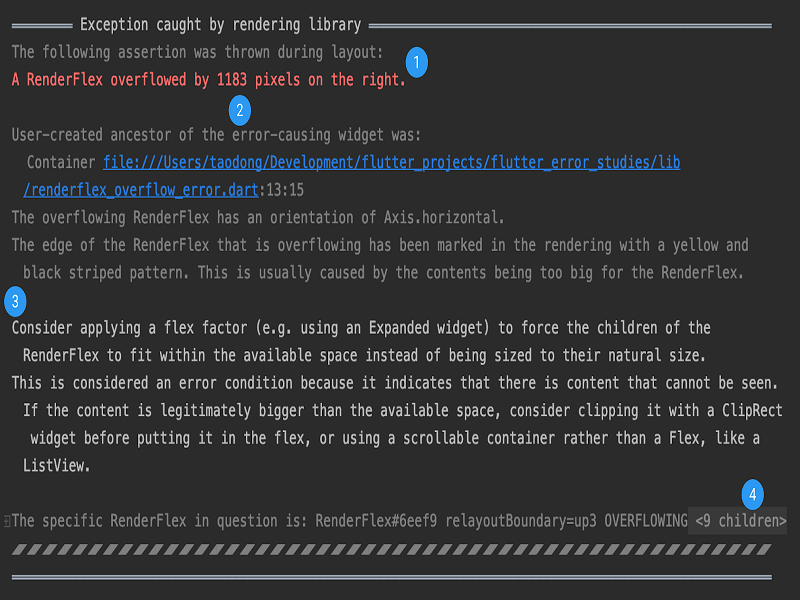 Flutter Error Handling