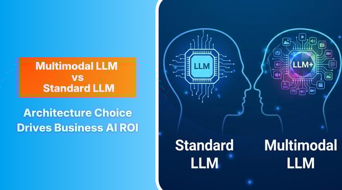 Multimodal LLM vs Standard LLM 