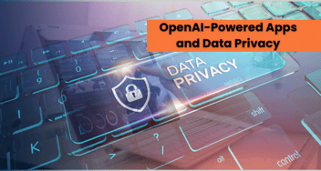A Guide to OpenAI-Powered Apps and Data Privacy Compliance