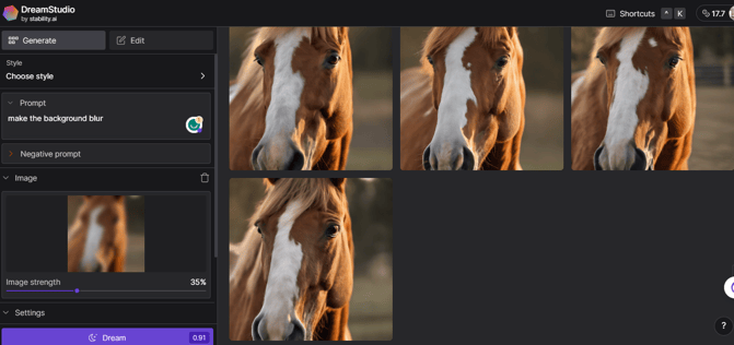 horse image