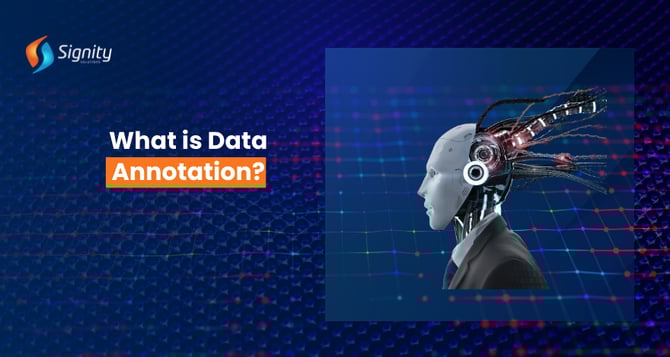 What is Data Annotation? 