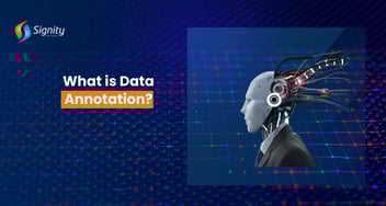 What is Data Annotation? Why You Need It