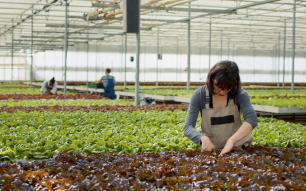 1-Oct-23-2025-08-06-48-0208-AM