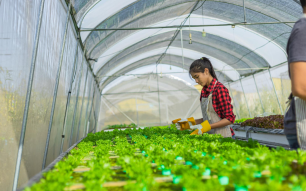 2-Oct-23-2025-08-07-02-3048-AM