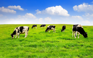 3-Oct-23-2025-08-07-06-1829-AM