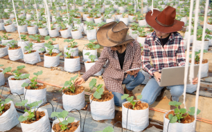 4-Oct-23-2025-08-07-09-9392-AM