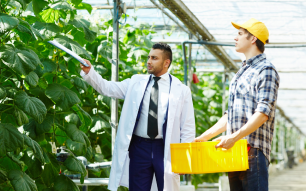 6-Oct-23-2025-08-07-46-9228-AM