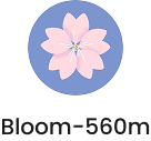 Bloom-560m