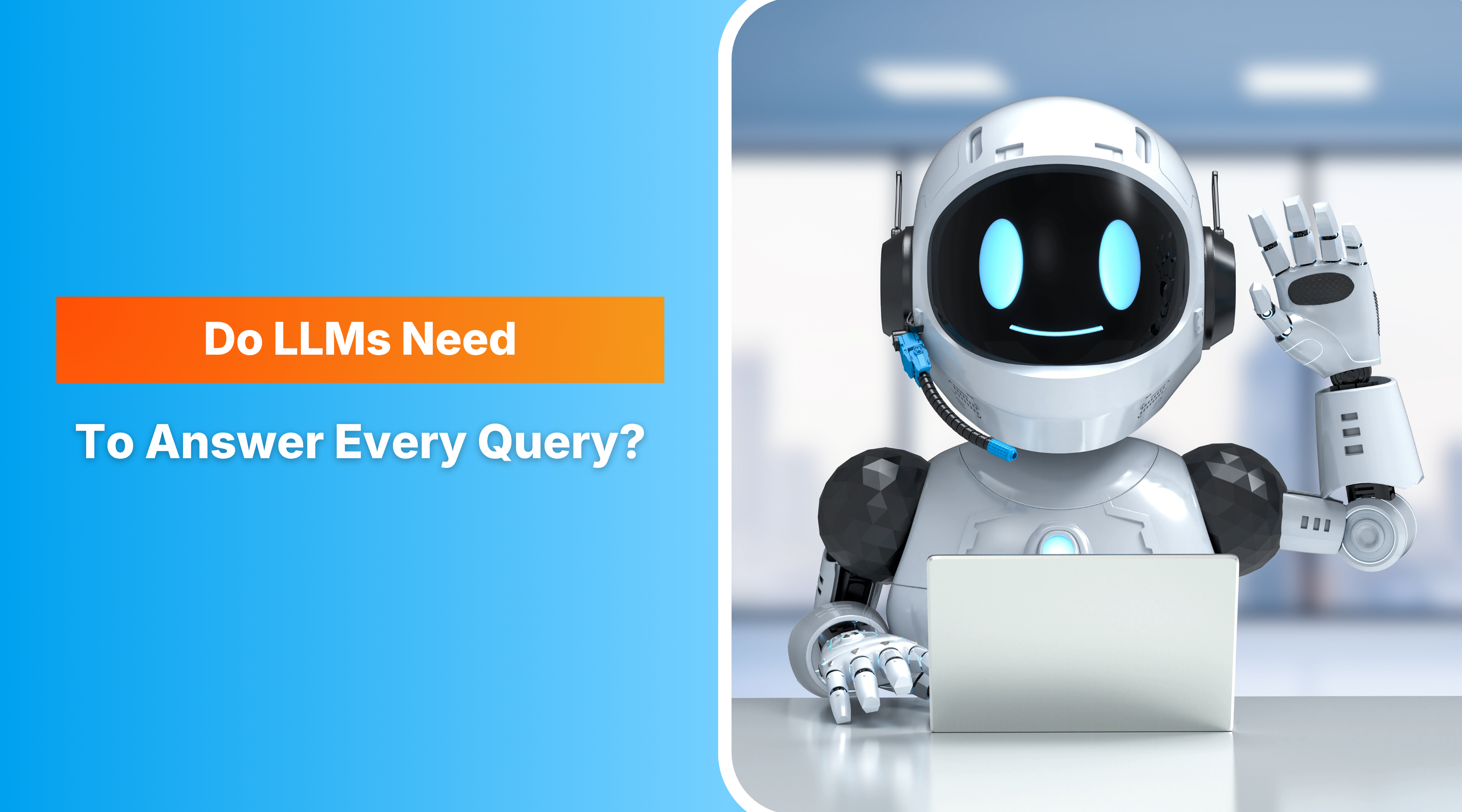 llms query 
